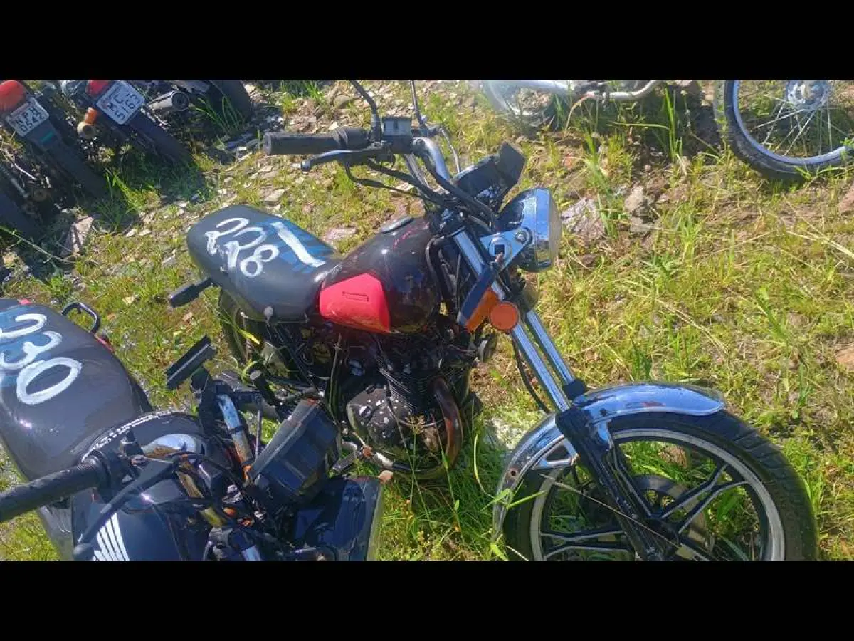 LOTE 0228