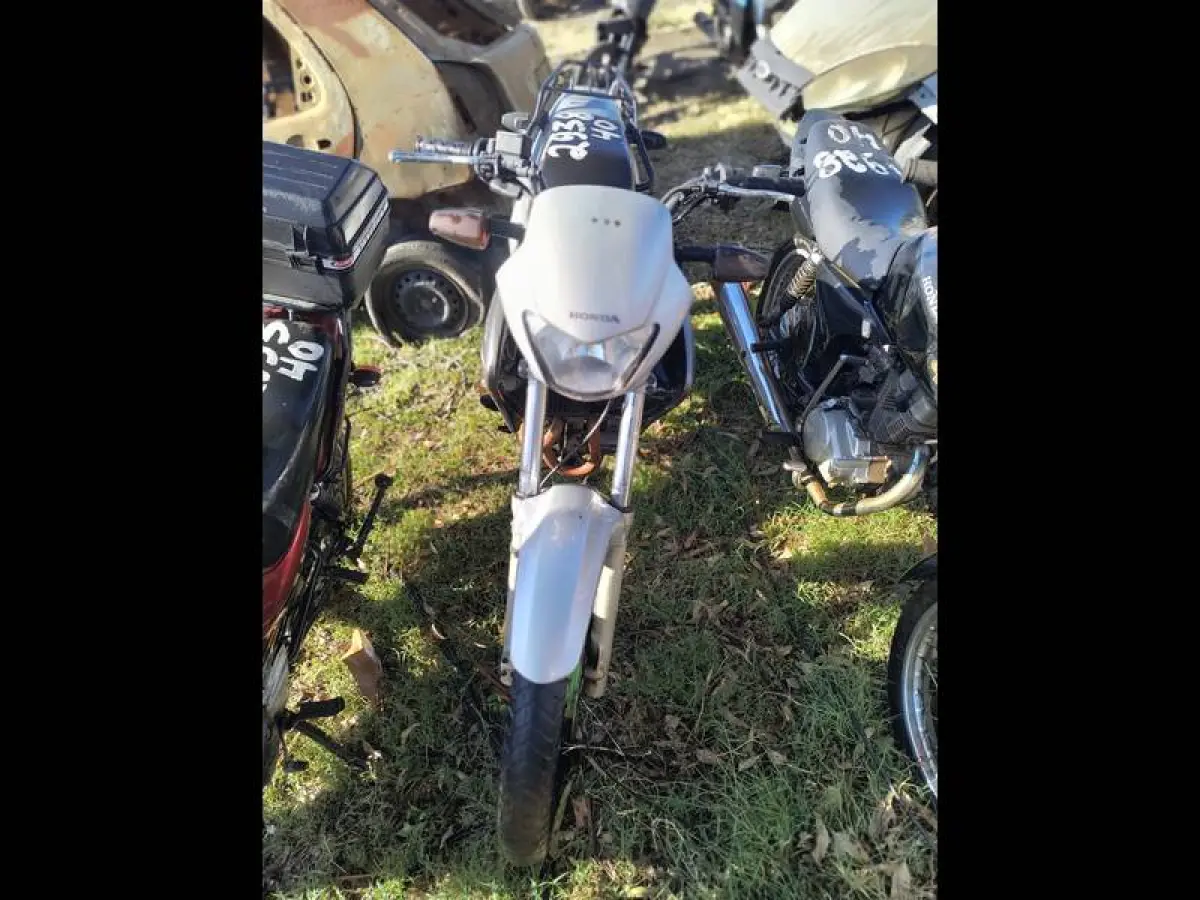 LOTE 0107