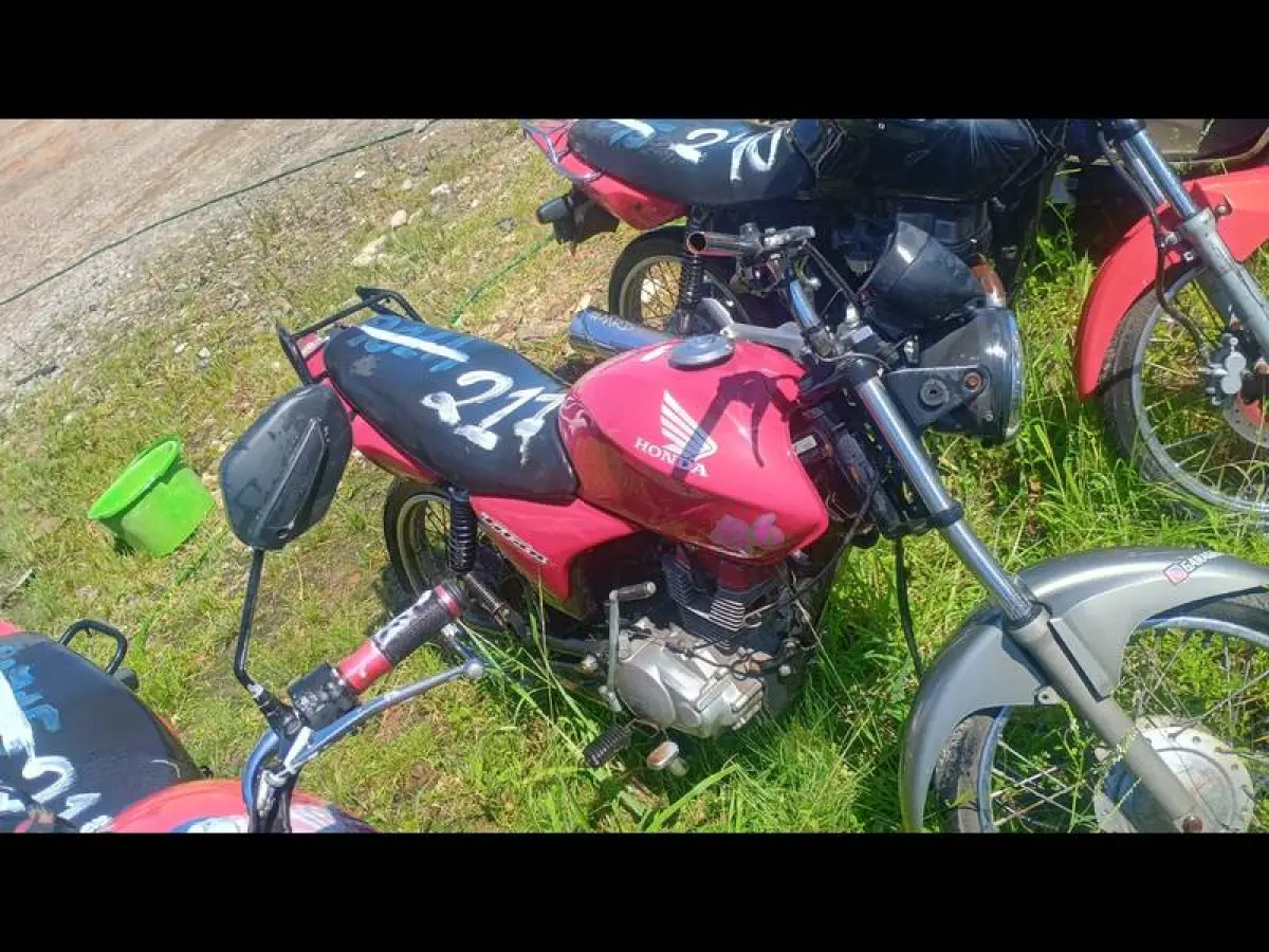 LOTE 0217