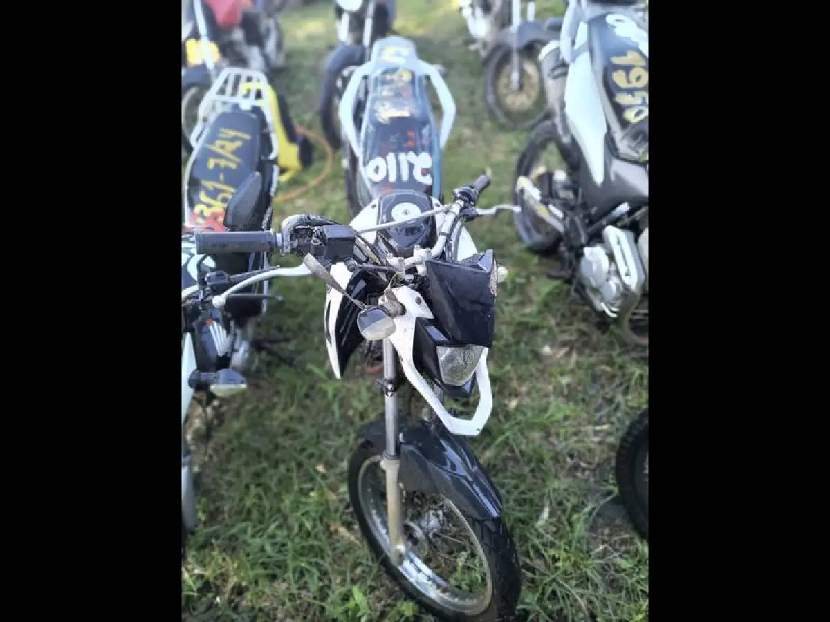 LOTE 0080