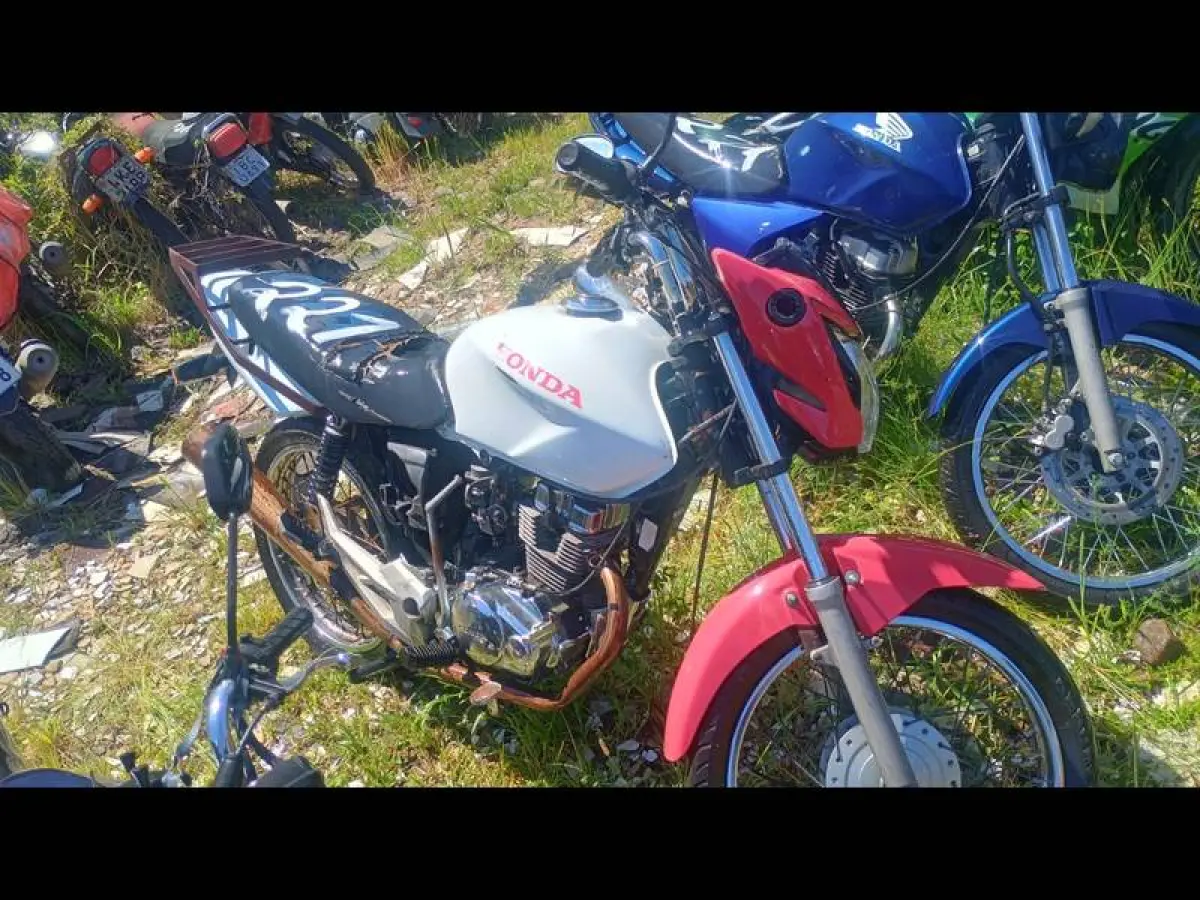 LOTE 0221