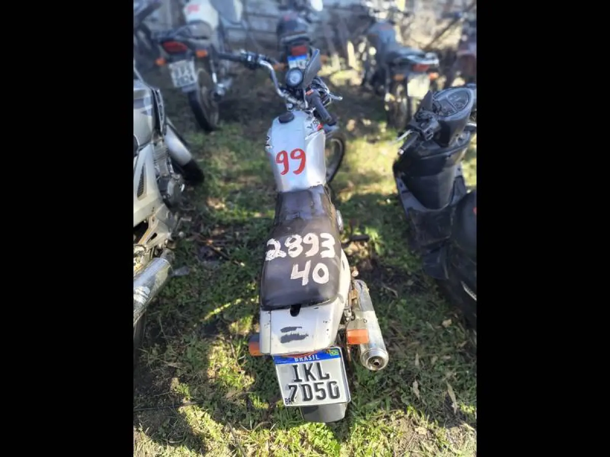 LOTE 0099