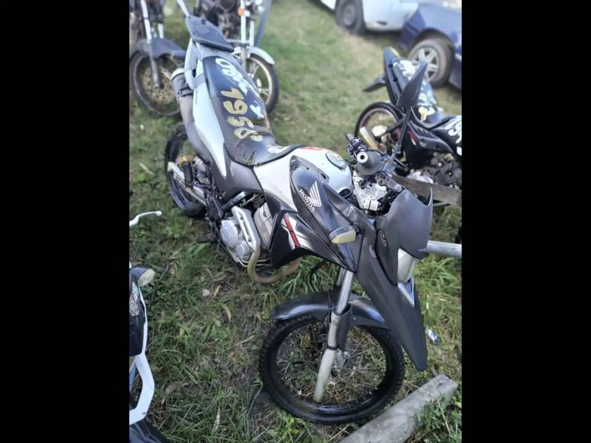 LOTE 0079
