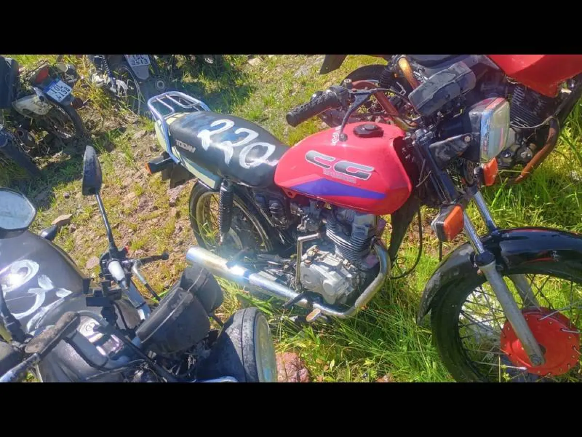 LOTE 0220