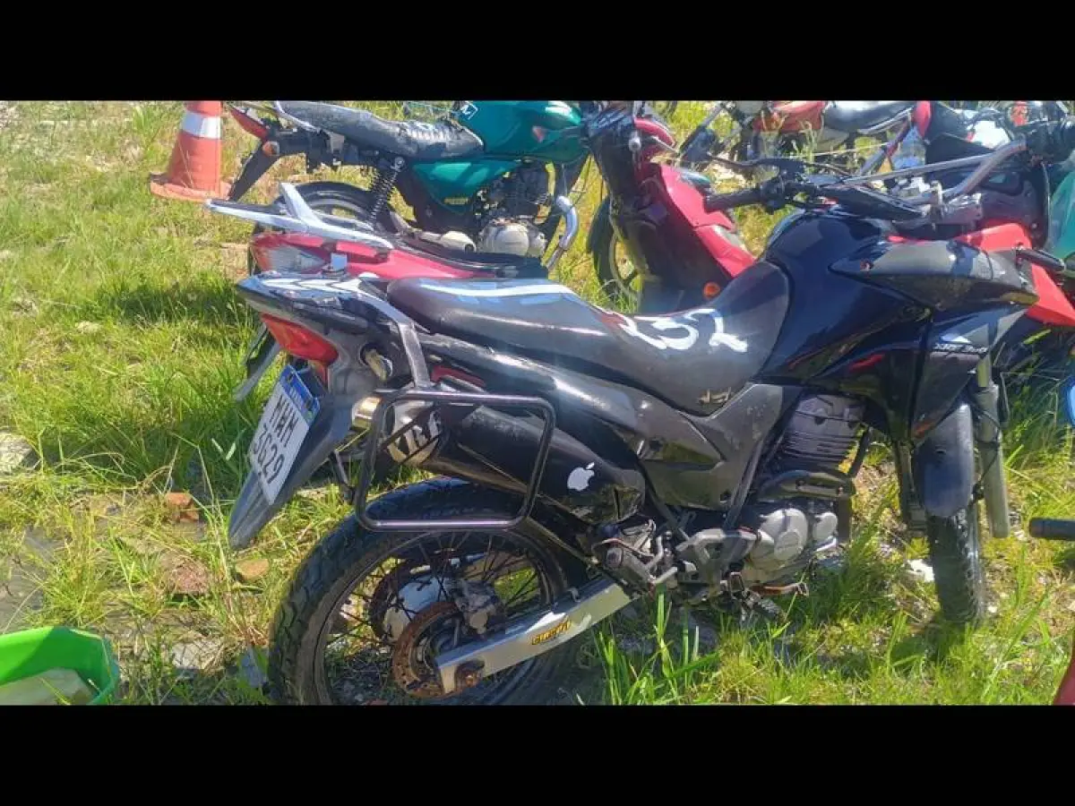 LOTE 0232