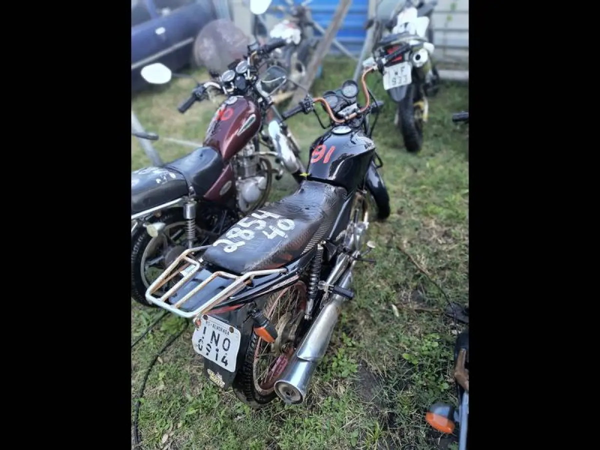 LOTE 0091