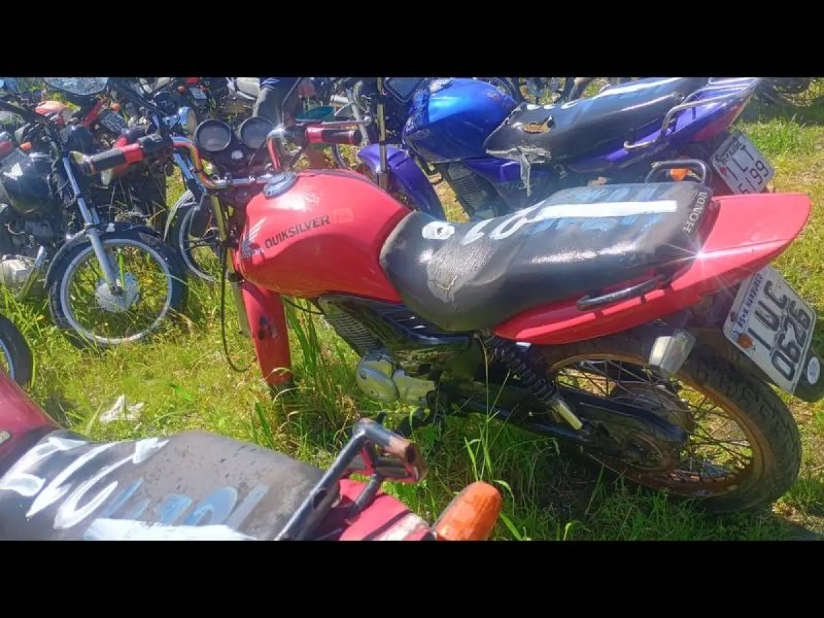 LOTE 0219
