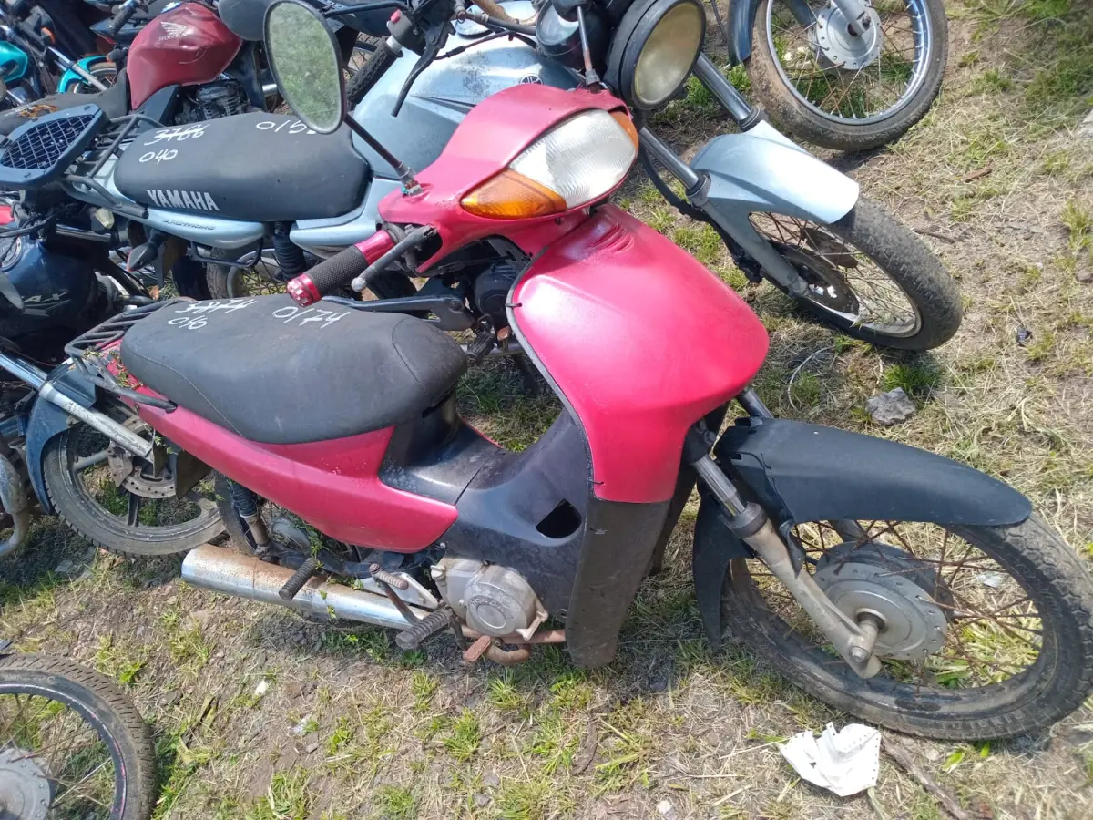 LOTE 0174