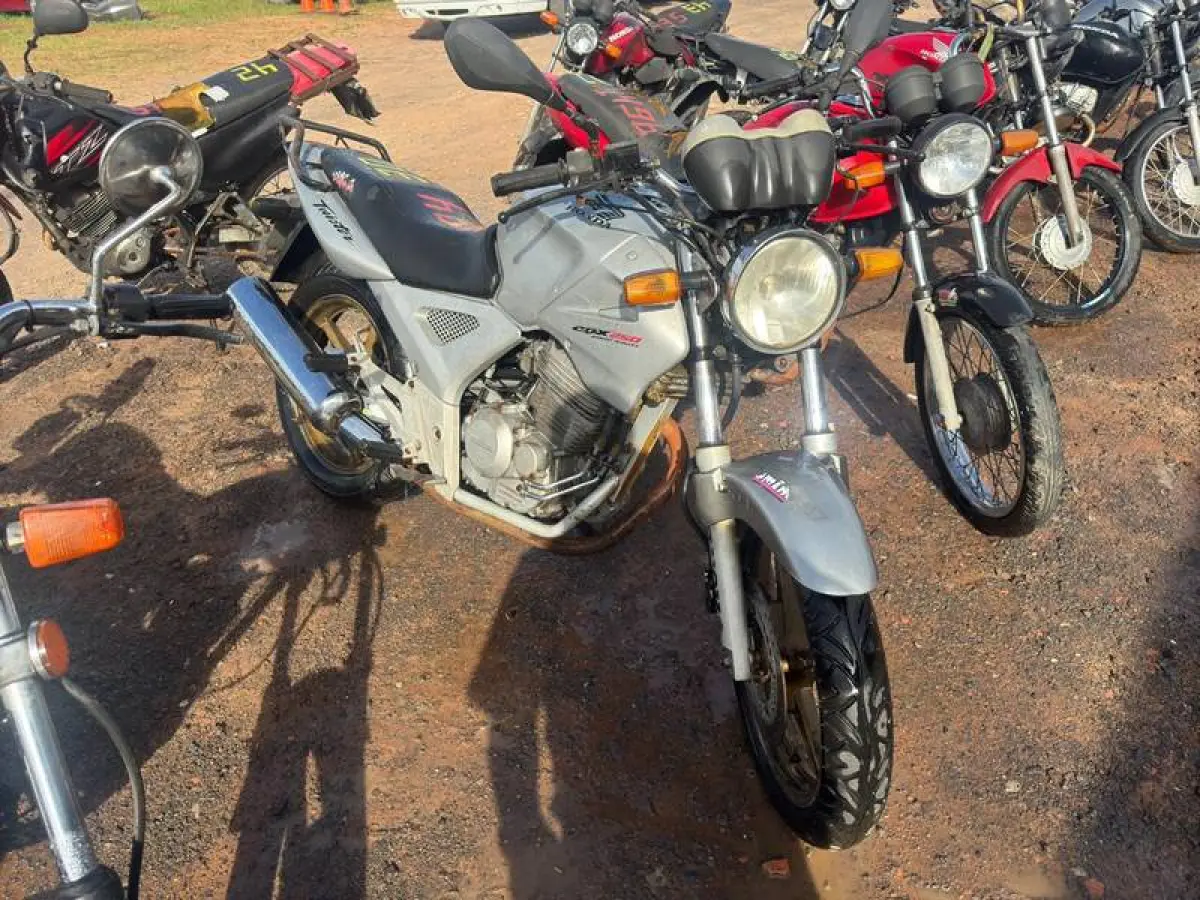 LOTE 0030
