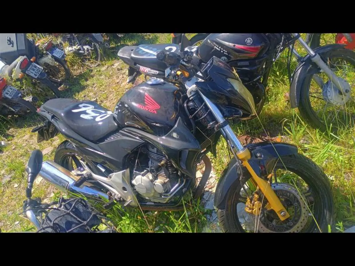 LOTE 0236