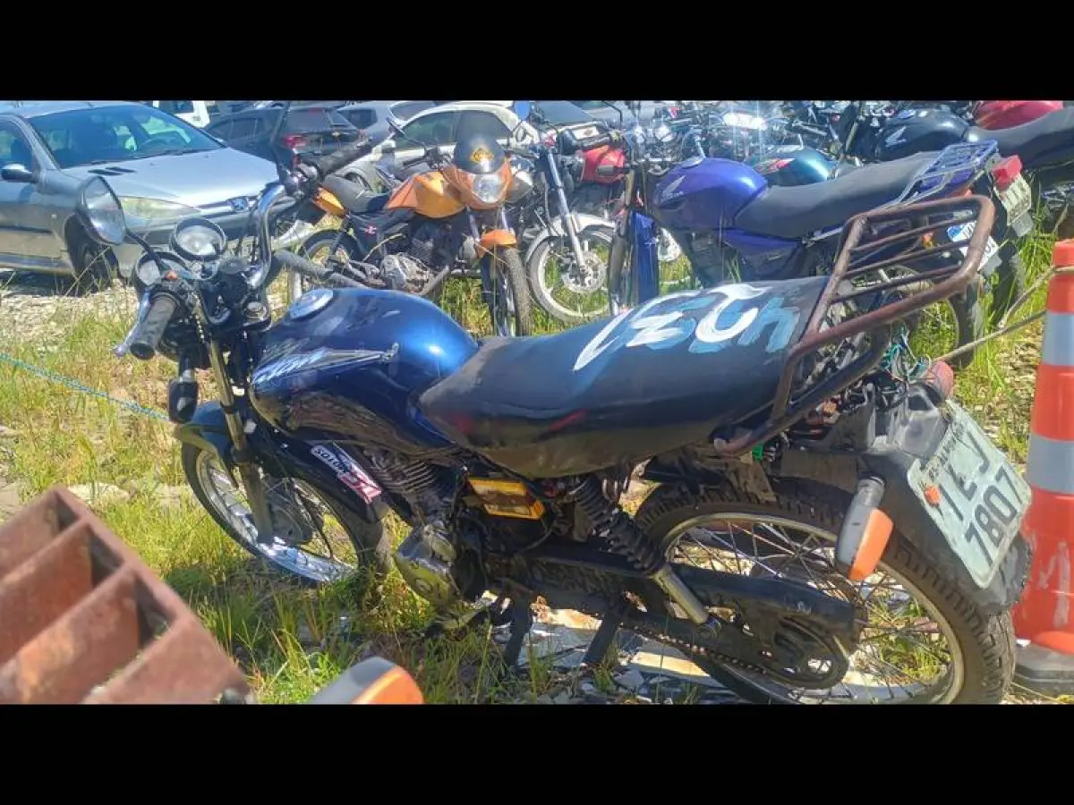 LOTE 0231