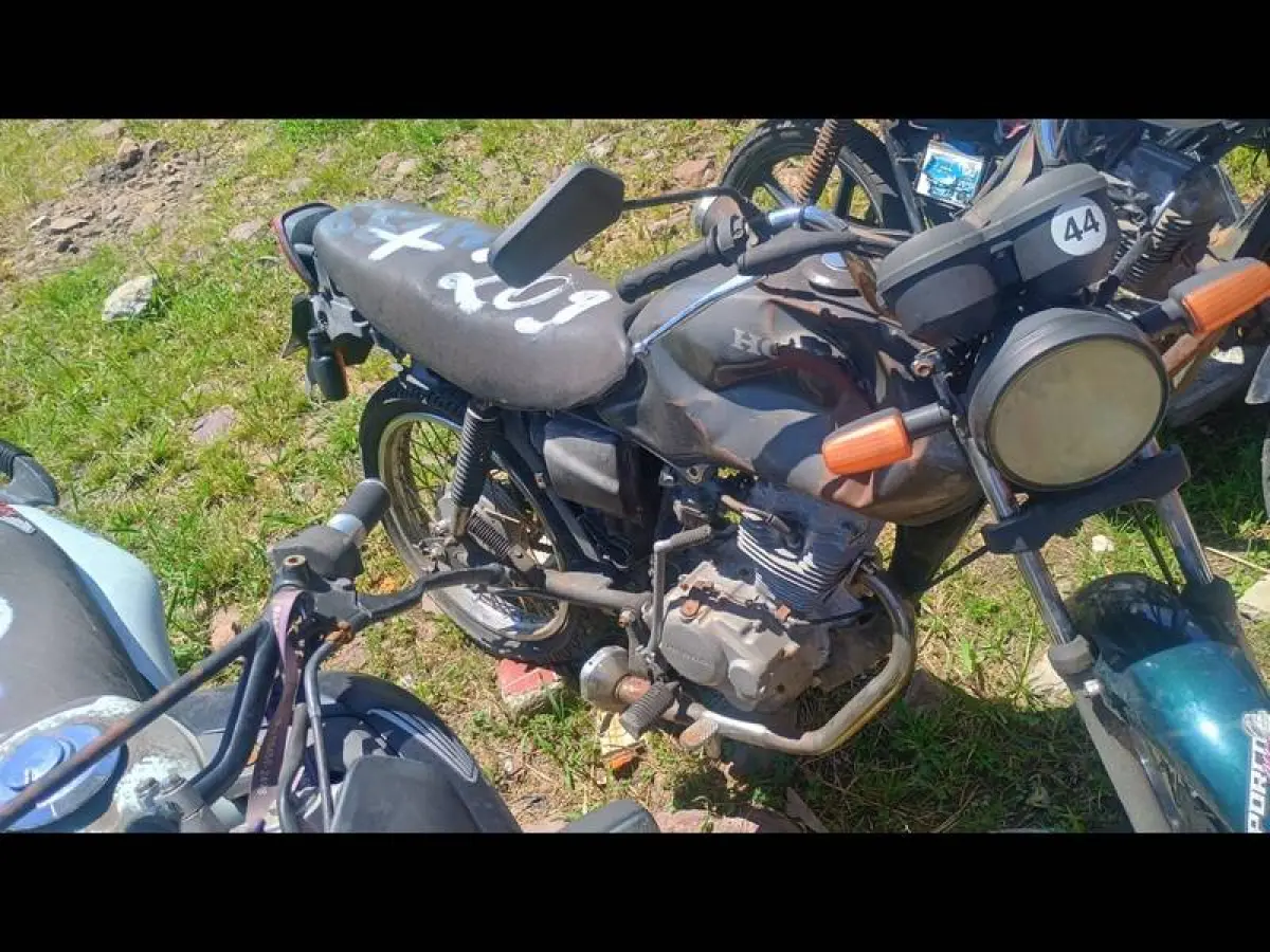 LOTE 0209