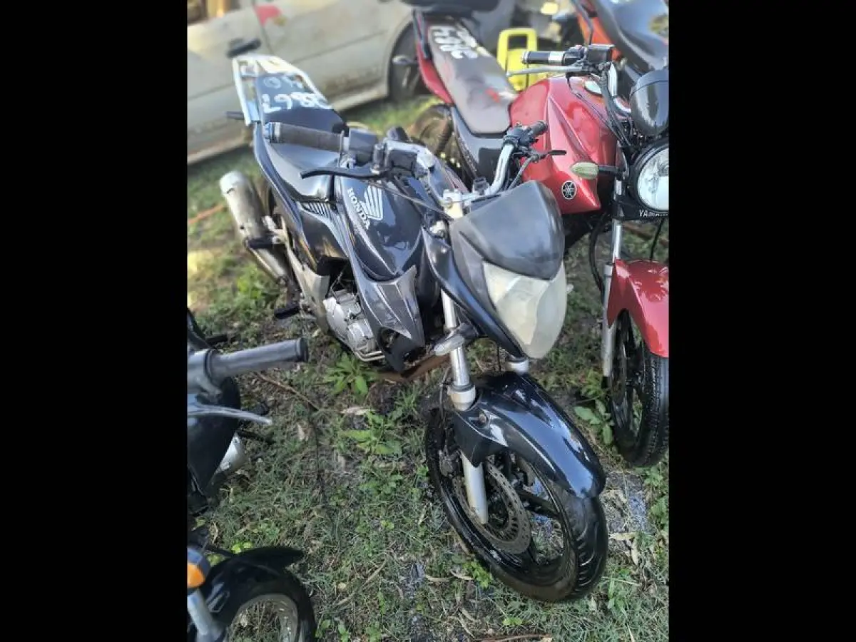 LOTE 0095