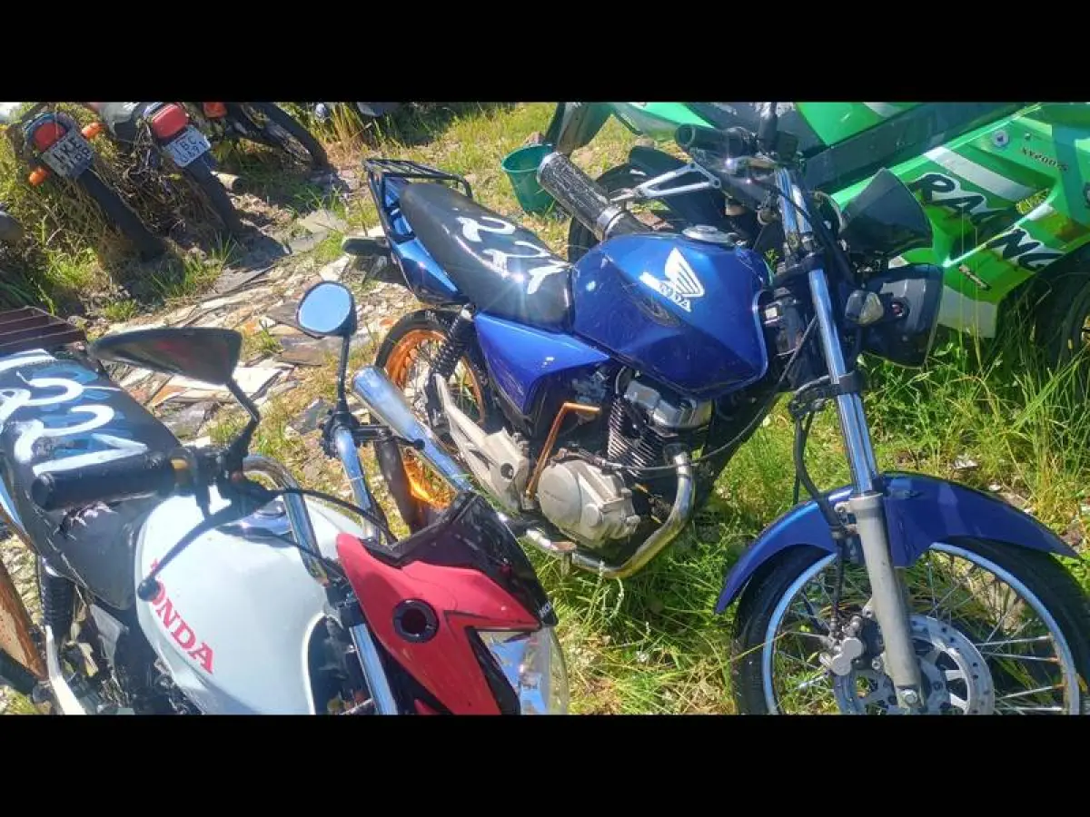 LOTE 0227