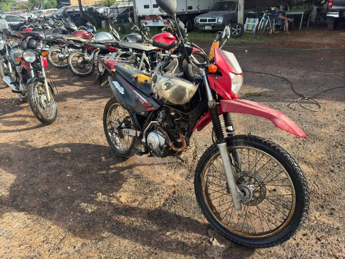 LOTE 0042