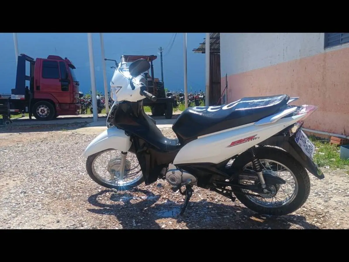 LOTE 0233