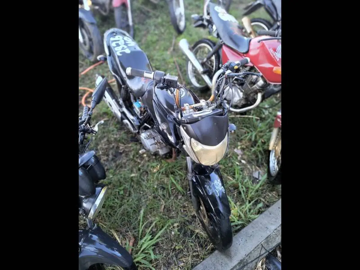 LOTE 0083
