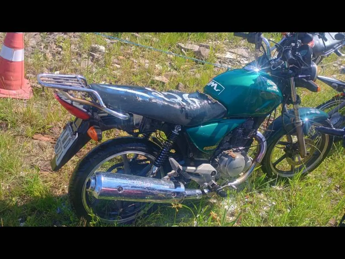 LOTE 0226