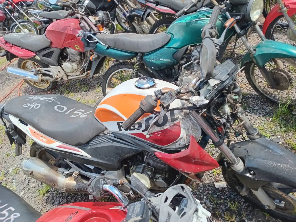 LOTE 0156