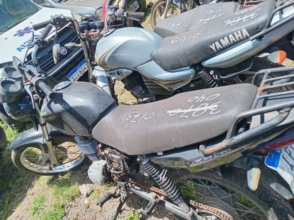 LOTE 0173
