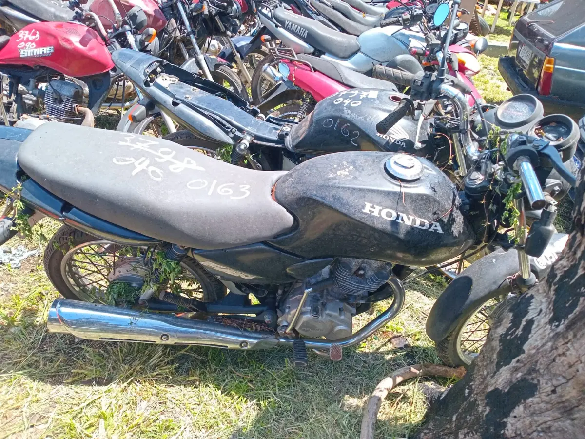 LOTE 0163