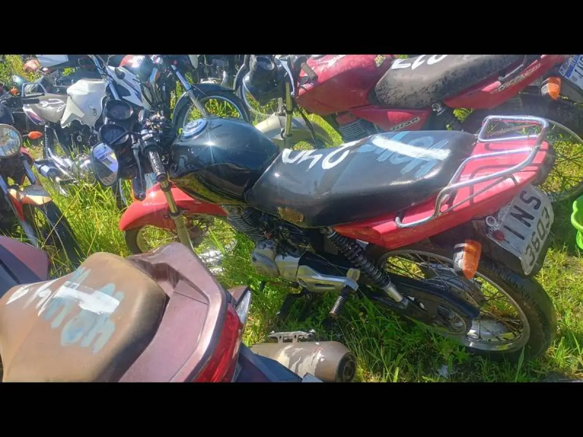 LOTE 0240