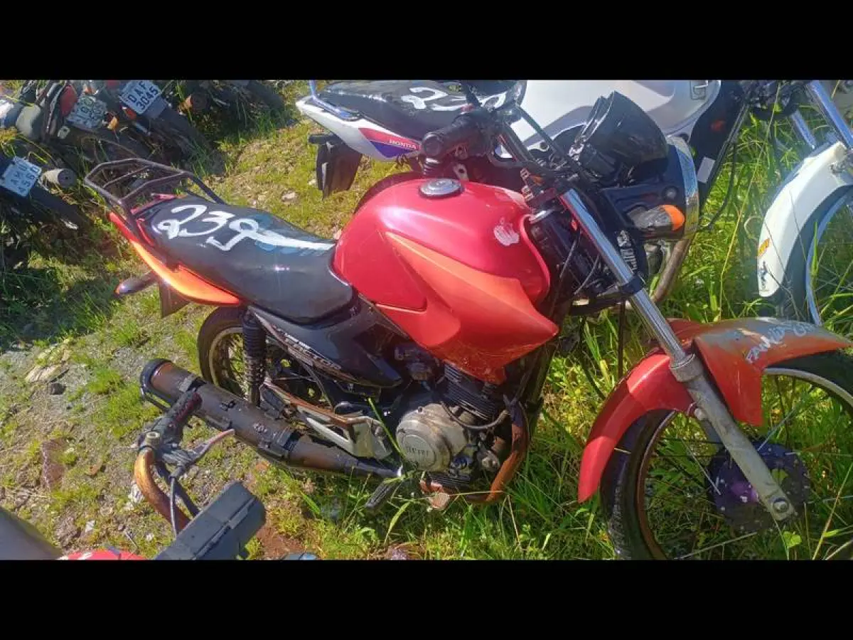 LOTE 0239
