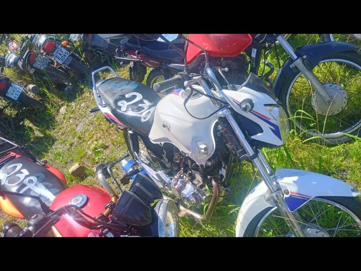 LOTE 0238