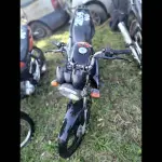 Foto 1