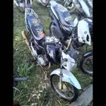 Foto 7