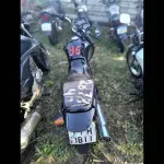 Foto 7